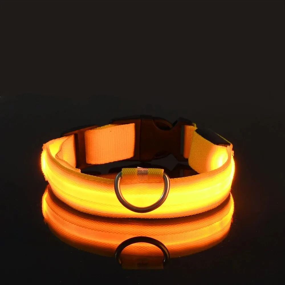 Night Beam LED Nylon Dog Collar or Leash
