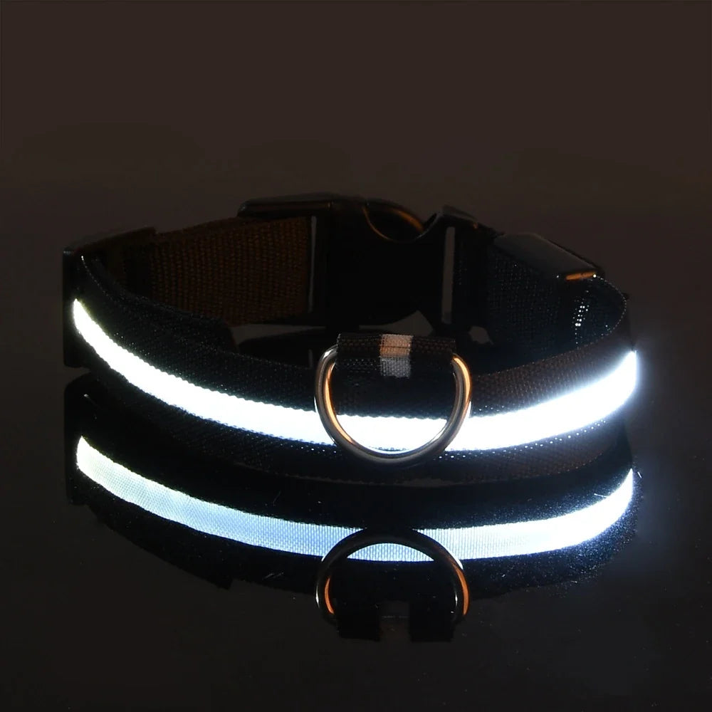 Night Beam LED Nylon Dog Collar or Leash
