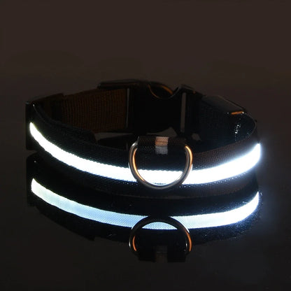Night Beam LED Nylon Dog Collar or Leash