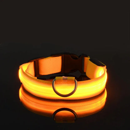 Night Beam LED Nylon Dog Collar or Leash