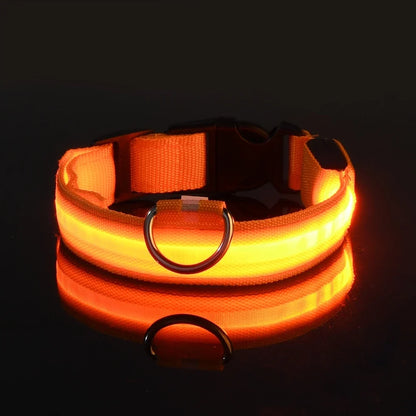Night Beam LED Nylon Dog Collar or Leash