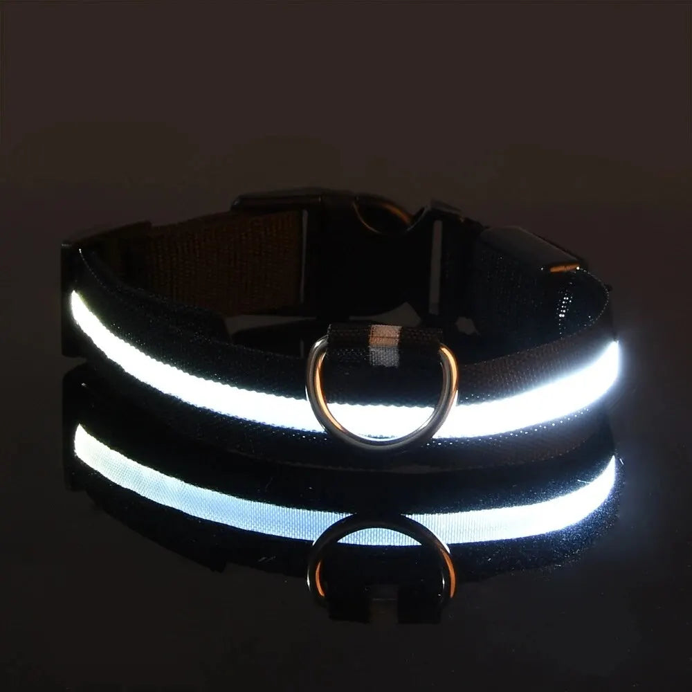 Night Beam LED Nylon Dog Collar or Leash