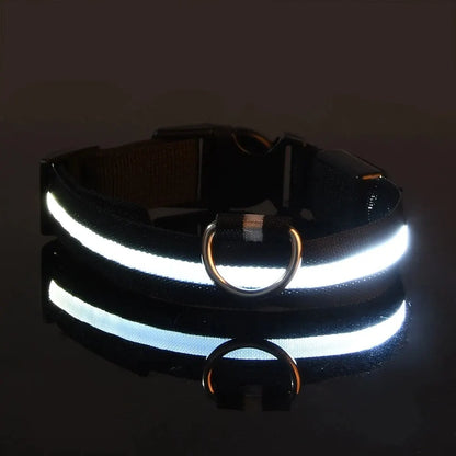 Night Beam LED Nylon Dog Collar or Leash