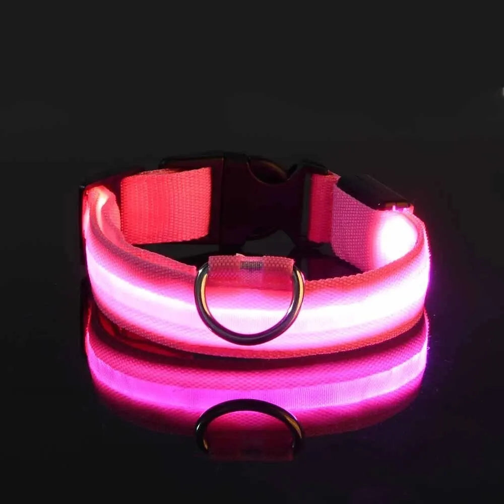 Night Beam LED Nylon Dog Collar or Leash