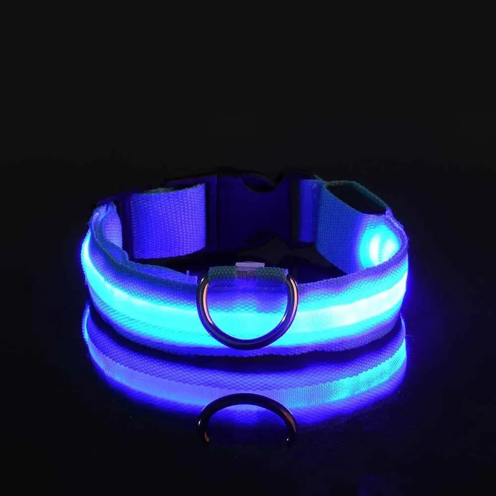 Night Beam LED Nylon Dog Collar or Leash