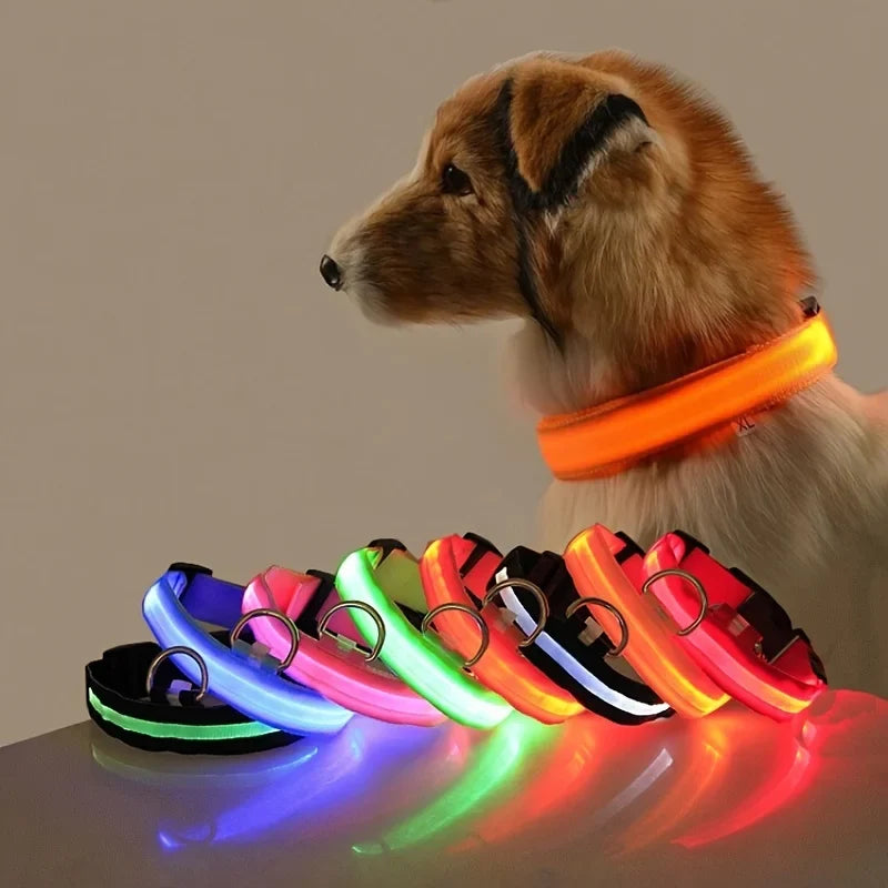 Night Beam LED Nylon Dog Collar or Leash