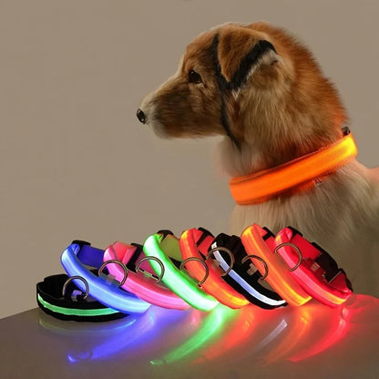 Night Beam LED Nylon Dog Collar or Leash