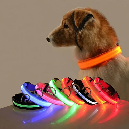 Night Beam LED Nylon Dog Collar or Leash