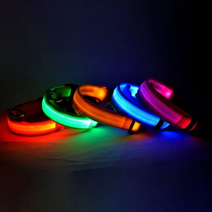 Night Beam LED Nylon Dog Collar or Leash