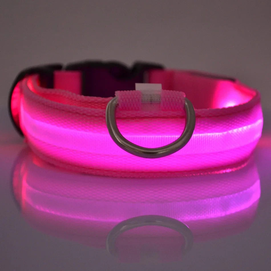 Night Beam LED Nylon Dog Collar or Leash