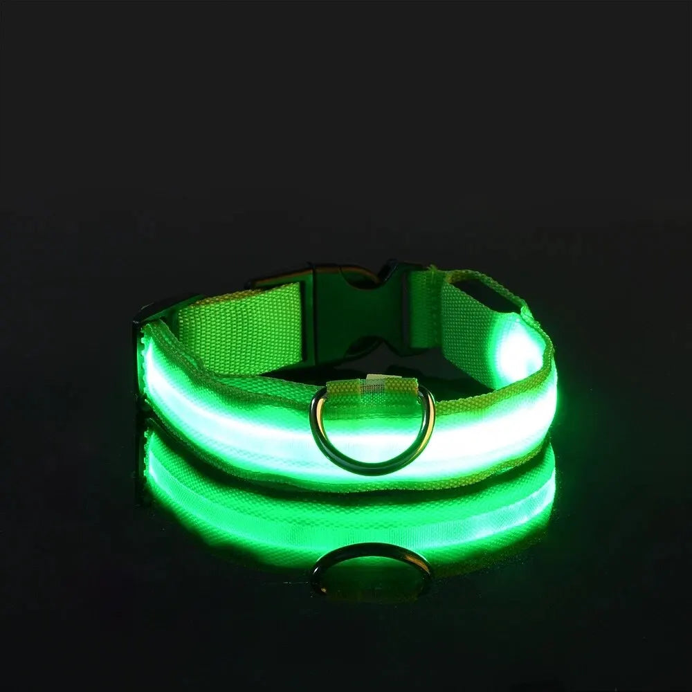 Night Beam LED Nylon Dog Collar or Leash
