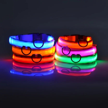 Night Beam LED Nylon Dog Collar or Leash