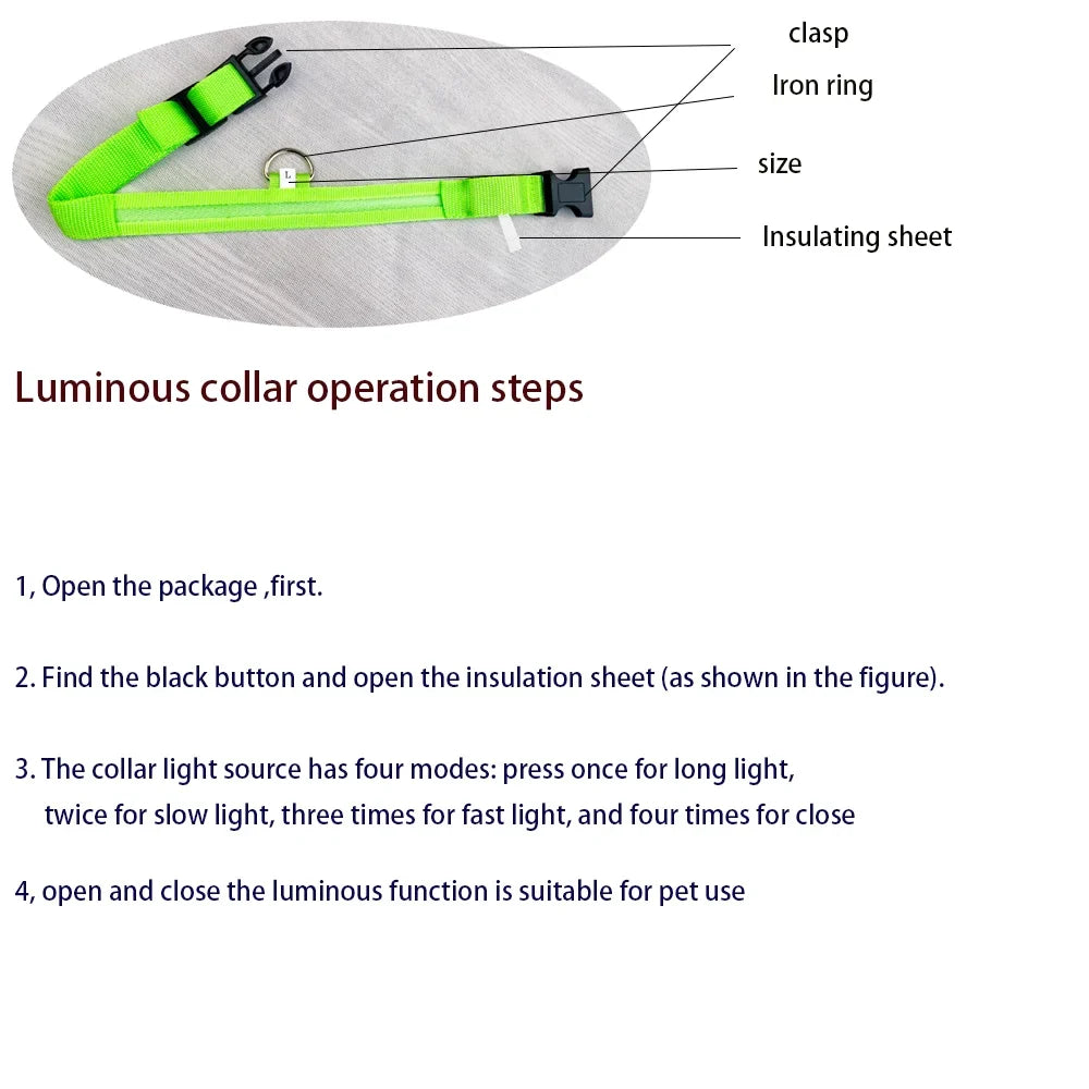 Night Beam LED Nylon Dog Collar or Leash