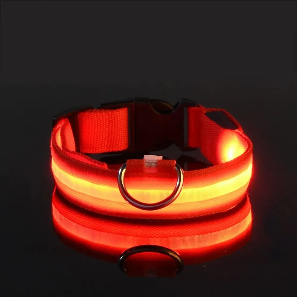 Night Beam LED Nylon Dog Collar or Leash